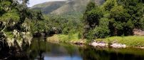 The Garden Route